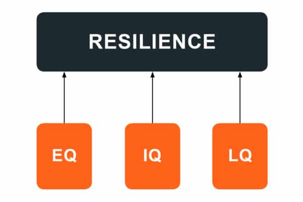 The Three Pillars of Resilience – The Deering Group