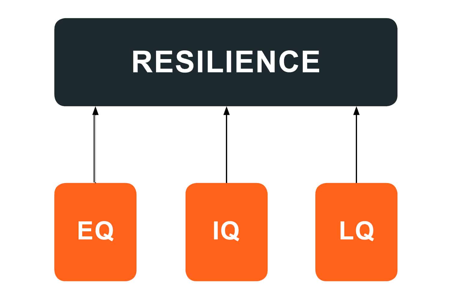 The Three Pillars of Resilience – The Deering Group